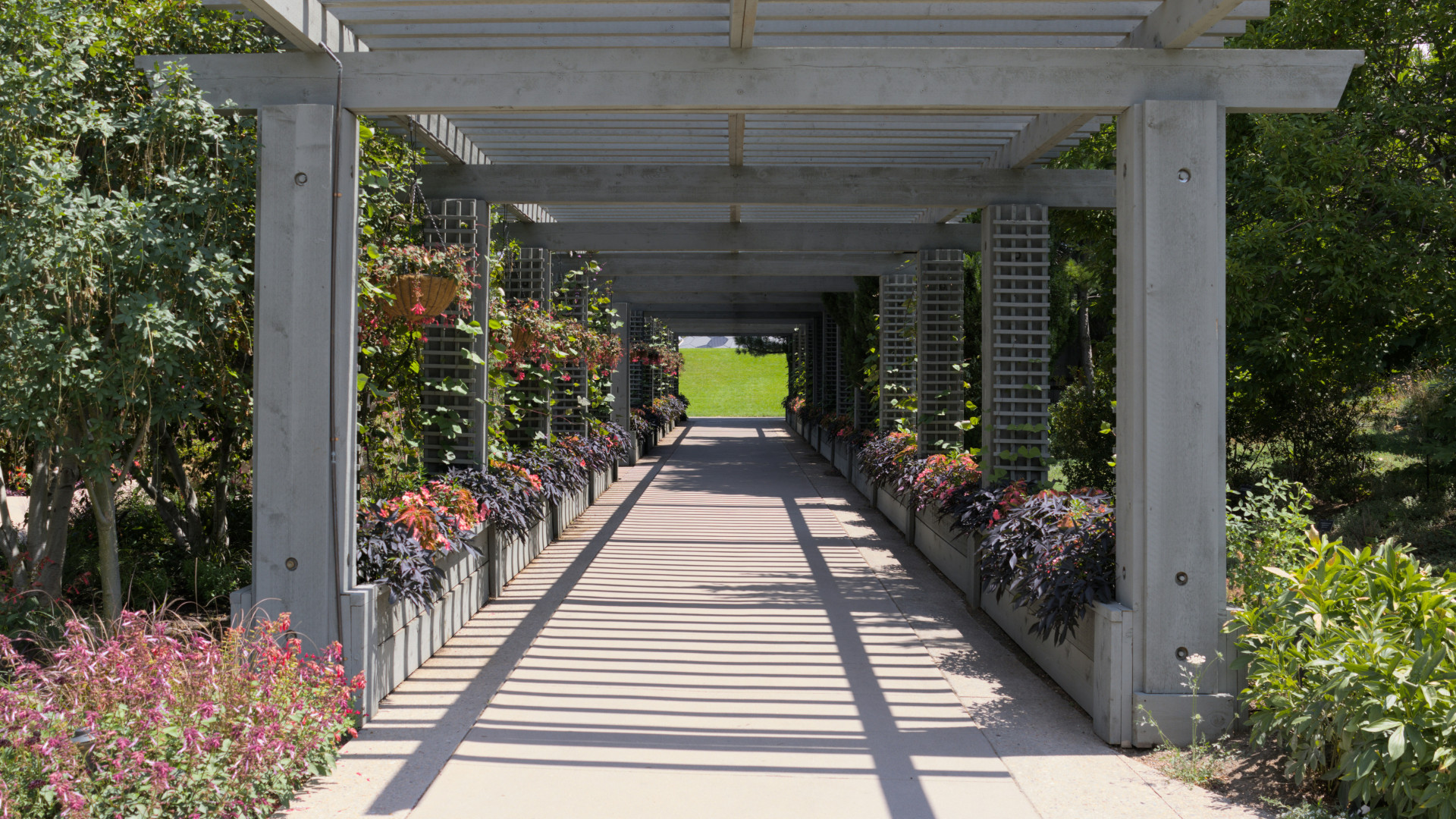 Pergola adossée en aluminium sur terrasse